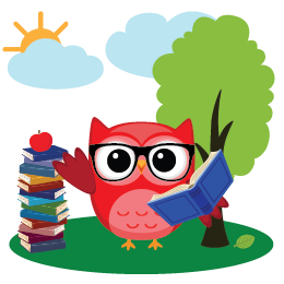owl owl