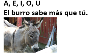 burro song
