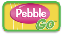Pebble Go 
