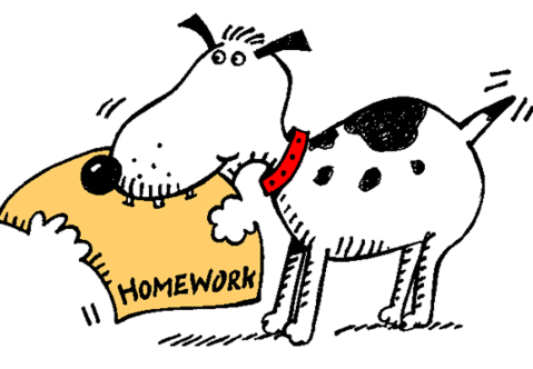Homework Homework
