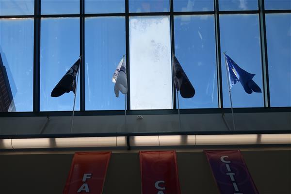  BHMS Flags