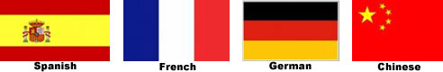 Foreign Language Flags 