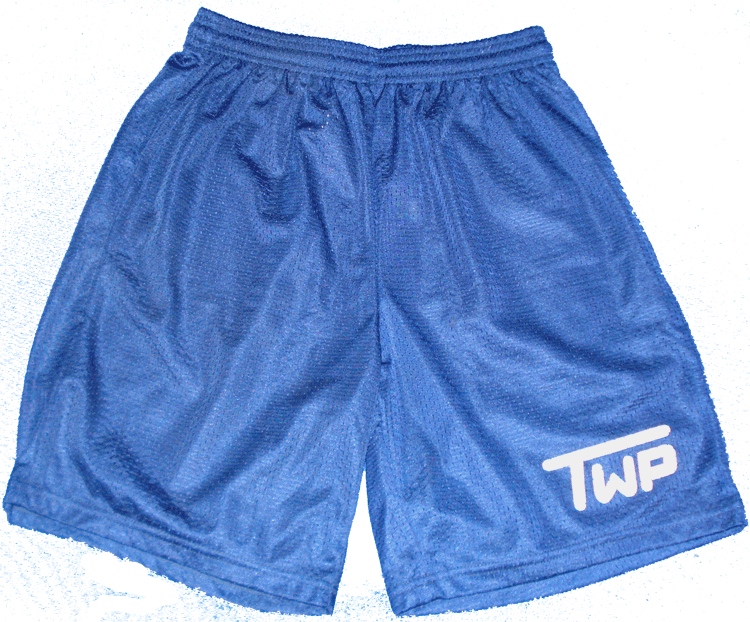 Mesh Shorts 
